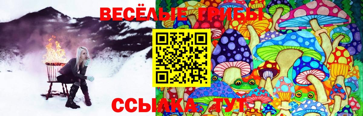 Галлюциногенные грибы мухоморы Канаш