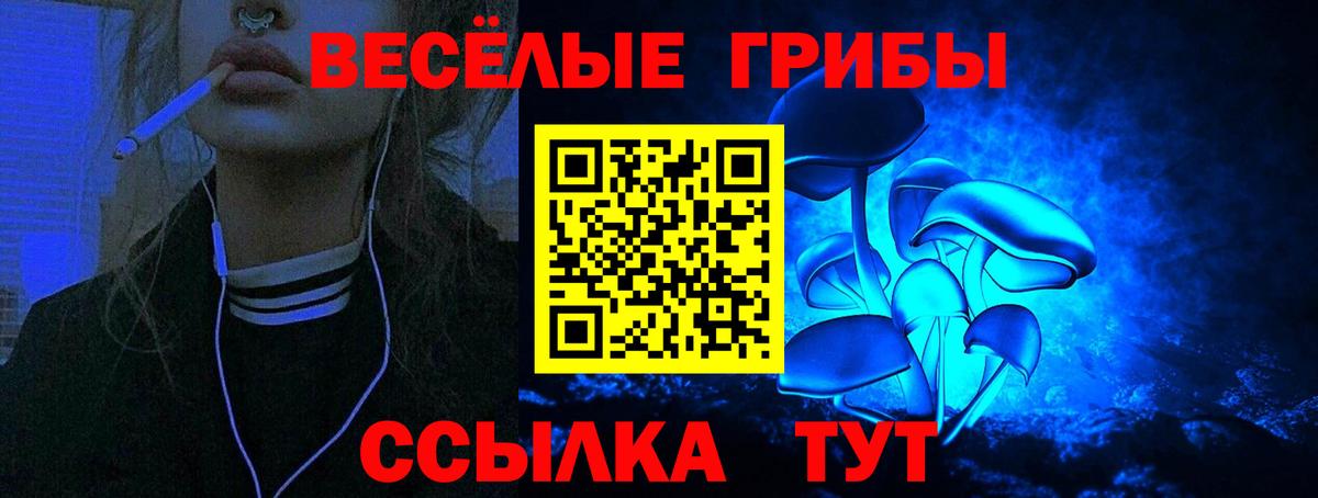 Канаш  Галлюциногенные грибы Psilocybe  Вход с VPN 