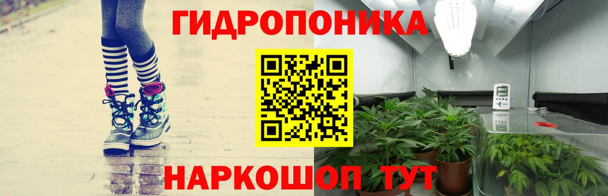 Марихуана индика Канаш